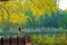 视频app麻豆-5G时代下的视频APP麻豆——从新视角探寻内容创新与用户体验的融合