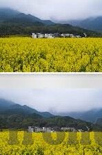 糖心视频APP下载苹果-深入探讨糖心视频APP在苹果设备上的应用与体验