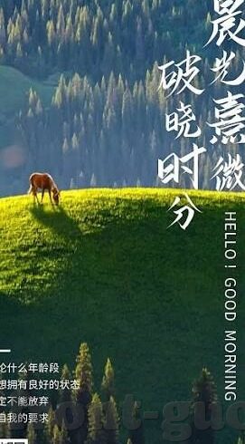 天美传媒视频麻豆-解锁数字时代的娱乐新窗口，天美传媒视频与麻豆的创意跨界之旅
